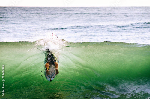 Photography Man surfboarding in sea