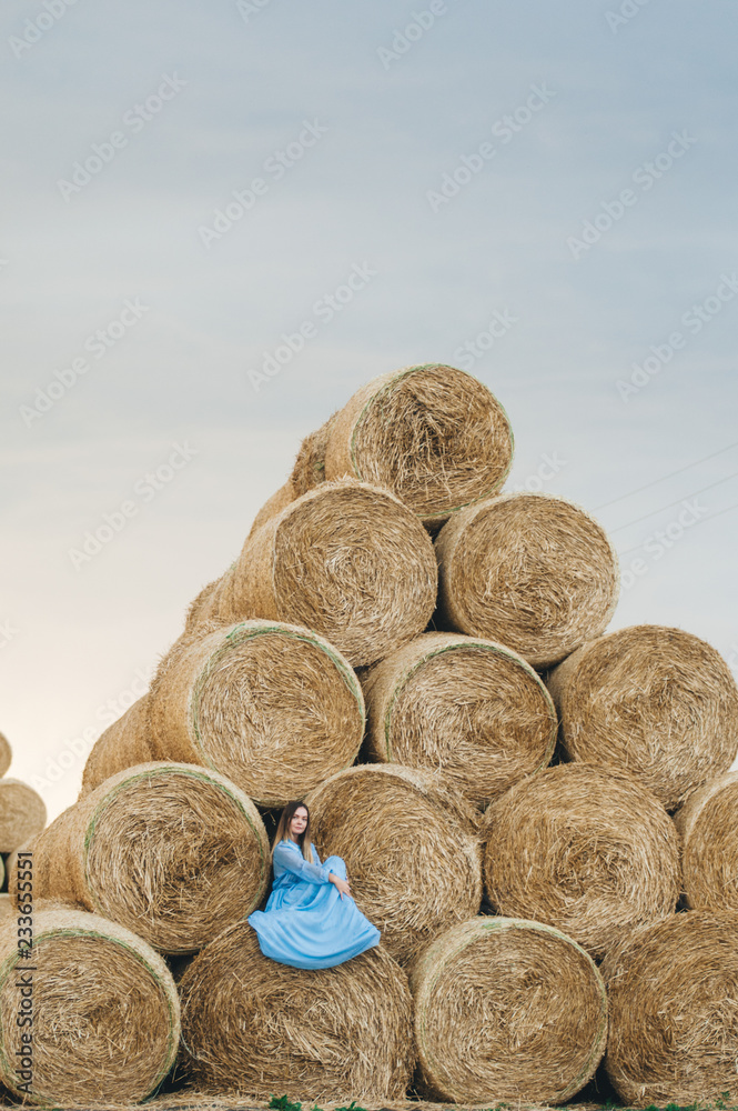 Beautiful woman in a dress on haystacks. Beautiful woman in a dress on haystacks.