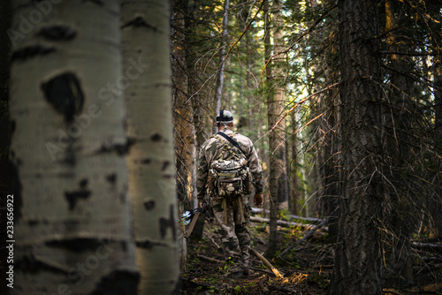 Fotografie Rear view of hunter walking in forest