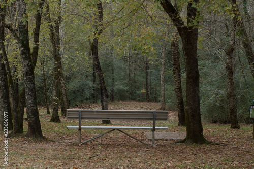 bench in the park