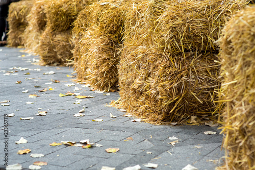 The pavement covered with yellow autumn leaves and folded cubes of dry hay.