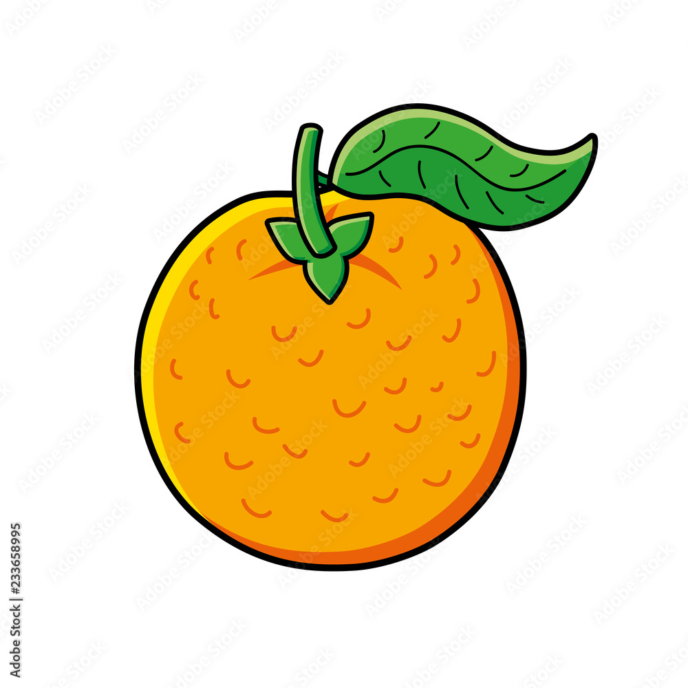 Orange fruit isolated Orange fruit isolated