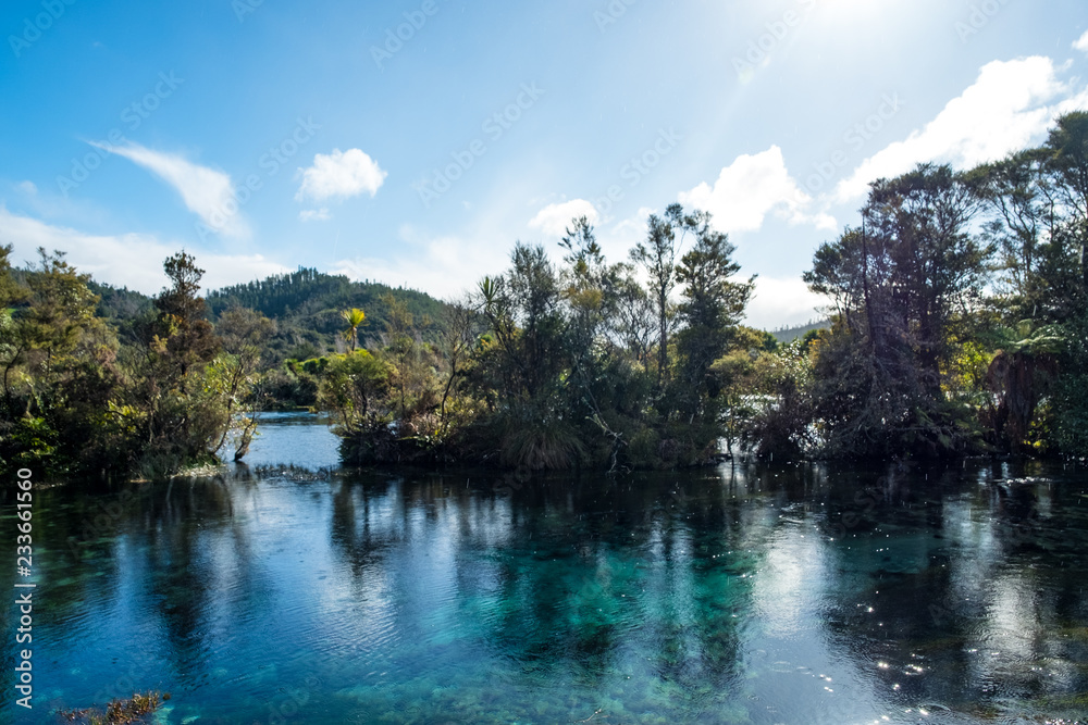 Fototapeta premium Beautiful nature at The Waikoropupū Springs, Takaka, Abel Tasman, New Zealand.