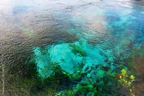 Bilde på lerret Beautiful nature at The Waikoropupū Springs, Takaka, Abel Tasman, New Zealand