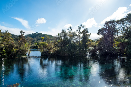 Beautiful nature at The Waikoropupū Springs, Takaka, Abel Tasman, New Zealand.