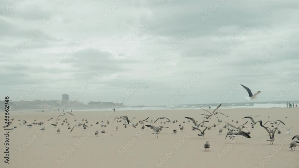 The boy happy man male tourist runs along the beach lake promenade and chases pigeons seagulls gulls birds ocean freedom .
