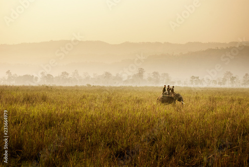 Photos Men sitting on elephant at field during sunset