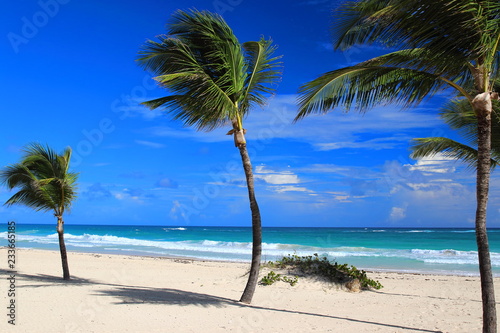 View of lonely palm trees and white sand beach in Punta Cana, Dominican Republic. © nachosuko