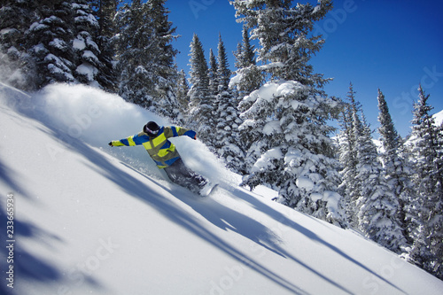 Man snowboarding on snow covered field against trees