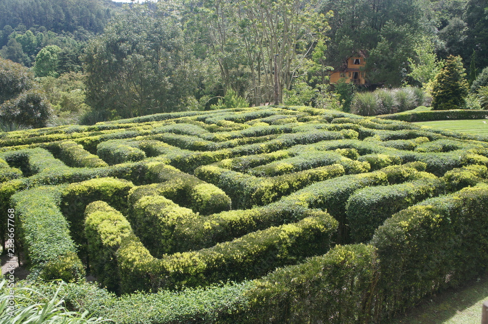 Labirinto Verde