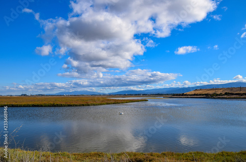Puffy Clouds Over Baylands Reserve