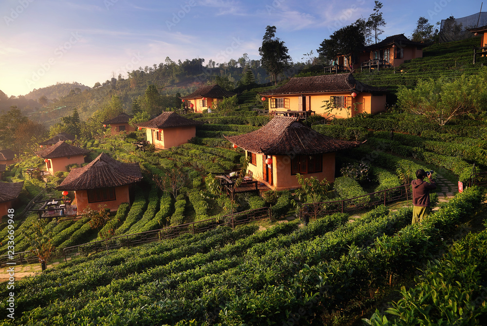 Beautiful scenery during sunrise at Chinese village among Tea Plantation at Ban Rak Thai , Mae Hong Son in Thailand is a very popular for photographers and tourists. Beautiful scenery during sunrise at Chinese village among Tea Plantation at Ban Rak Thai , Mae Hong Son in Thailand is a very popular for photographers and tourists.