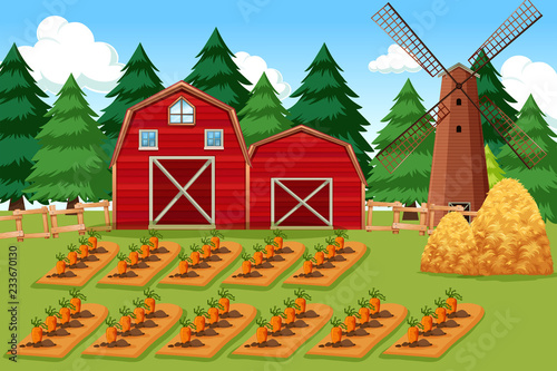 farm scene with carrots