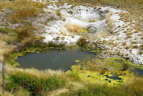 View of turquoise water pools in the West Thumb Geyser Basin in Yellowstone National Park  United States