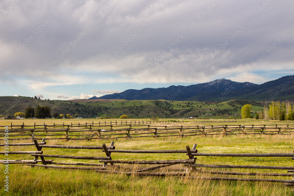 Obraz premium green feilds