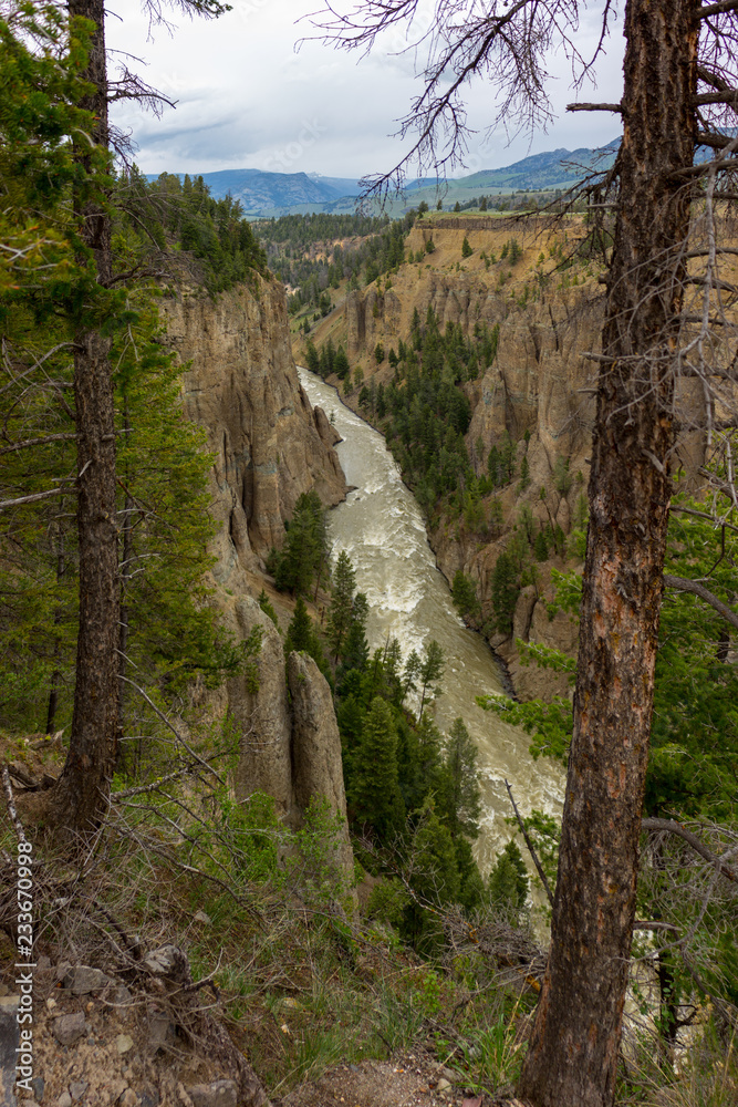 Yellowstone Canyon River