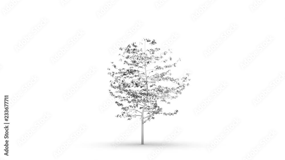 white tree growth concept