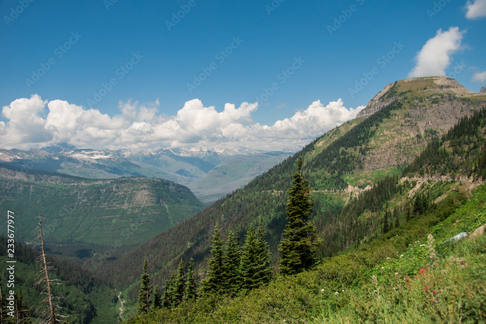 Colorful Mountainside Panorama - Glacier National Park in Northern Montana