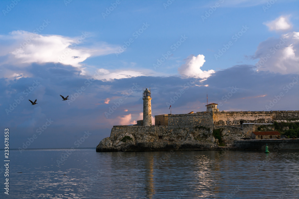 Dos pelícanos vuelan cerca del castillo  de la Habana.