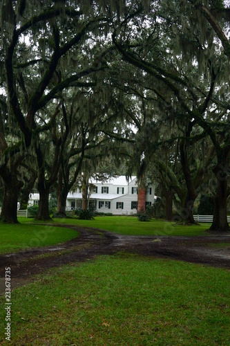 Southern White Manson surrounded by Live Oaks & Crepe Myrtle Trees photo