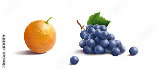 Fototapeta Naklejka Na Ścianę i Meble -  Orange and grape fruit