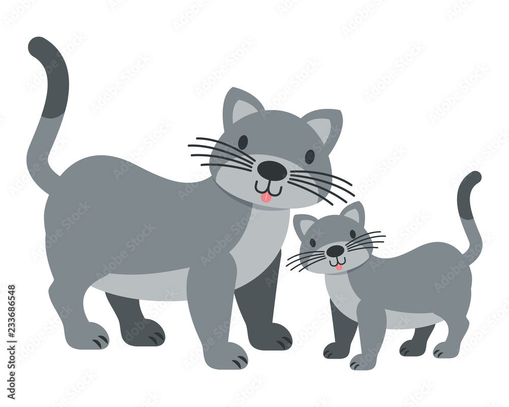 cats pet on white background