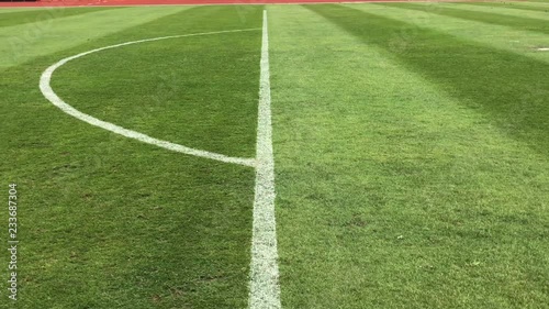 Soccer field grass, Football field grass
