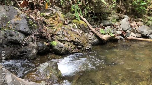 Panning sideways of a small cascade and the river in the ecuadorian forest of Bucay.