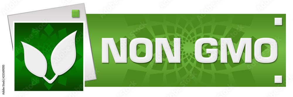 Non GMO Green Grey Circular Floral Horizontal Non GMO Green Grey Circular Floral Horizontal