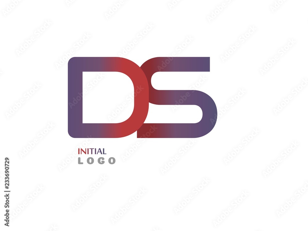 DS Initial Logo for your startup venture