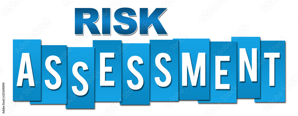Risk Assessment Professional Blue 