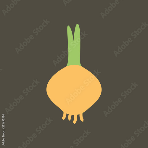 Silhouette icon onion