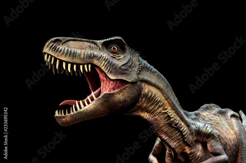 Tyrannosaurus rex statue isolated on black background.