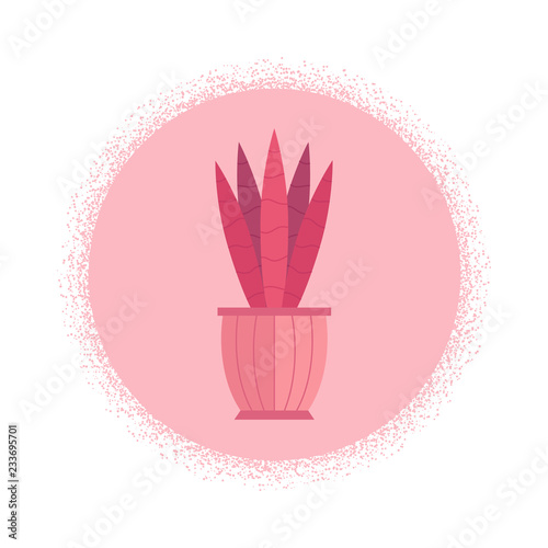 Vector cartoon house plant cactus icon background