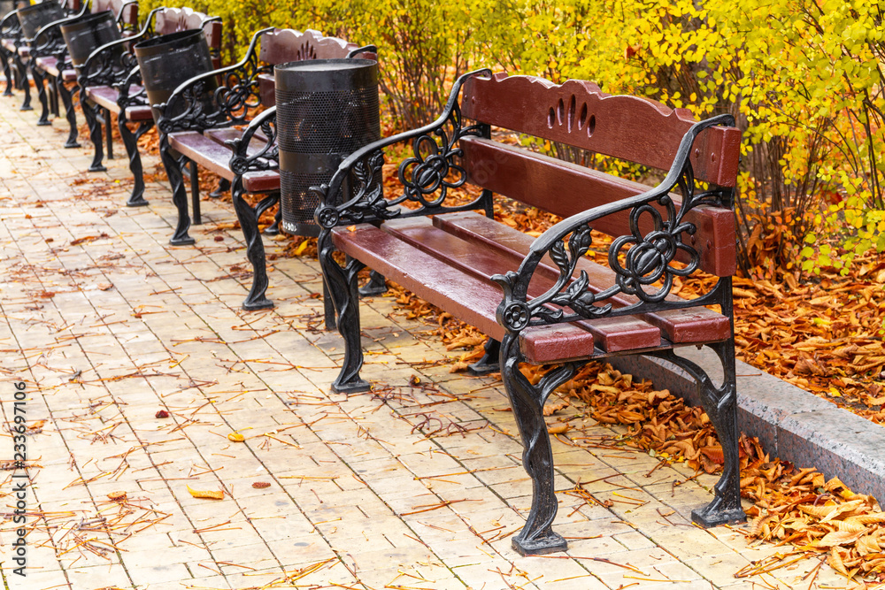 The perspective of the row of wooden benches in autumn park. Autumn landscape The perspective of the row of wooden benches in autumn park. Autumn landscape