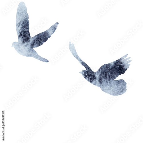 isolated, watercolor bird silhouette, dove flying, flock of birds