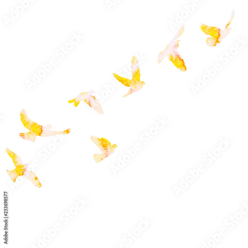  watercolor bird silhouette, dove flying, flock of birds