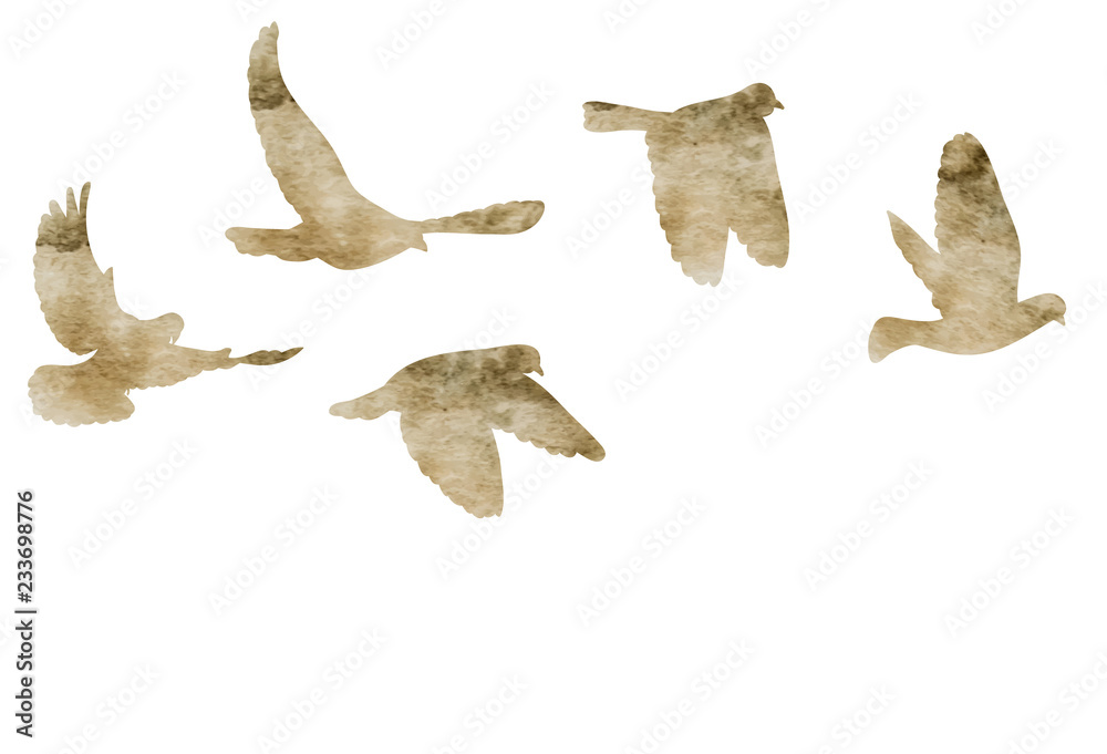 Fototapeta premium vector, isolated, watercolor silhouette of flying pigeons, a flock of birds flies