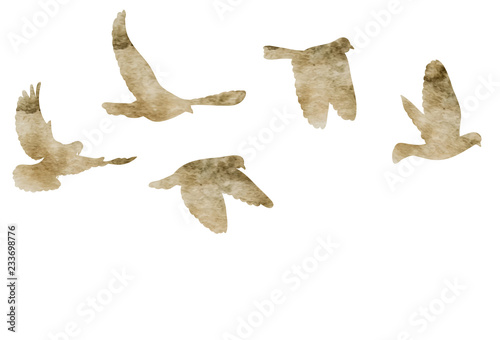 vector, isolated, watercolor silhouette of flying pigeons, a flock of birds flies © zolotons