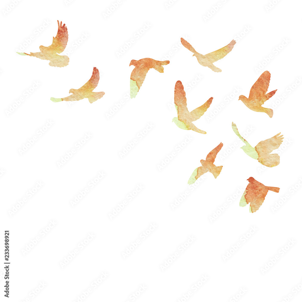 Obraz premium vector isolated, a flock of birds flies, watercolor silhouette