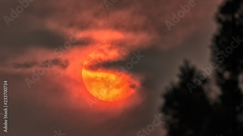 Photography The Sun Obscured by Wildfire Smoke, Humboldt County, California