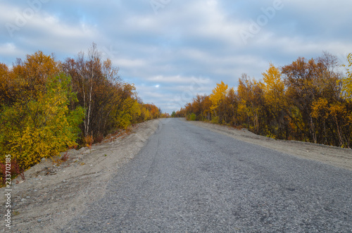 The dirt road is surrounded by autumn forest.