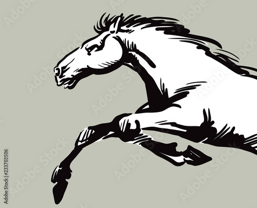 A horse gallops fast