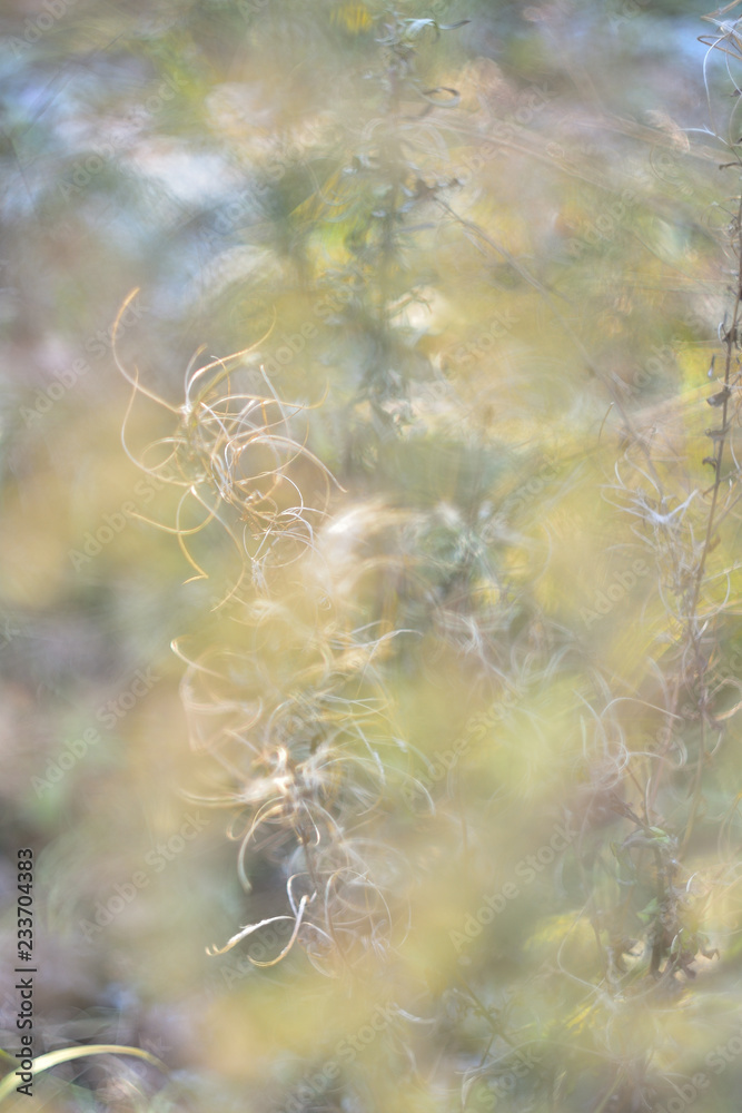 Naklejka premium abstract background