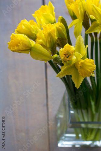 Fototapeta Naklejka Na Ścianę i Meble -  One bouquet of yellow narcissus in the glass on the wooden background