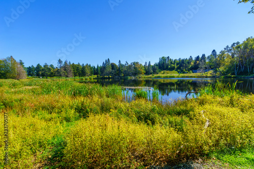MacLaren pond, in Fundy National Park