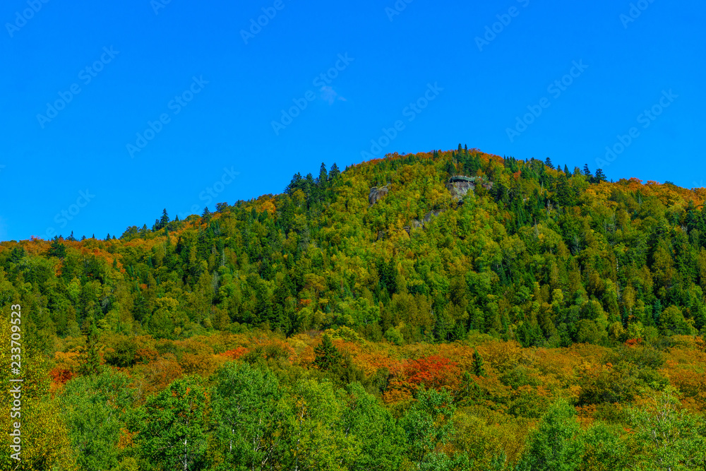 Forested hill in Mont Tremblant National Park