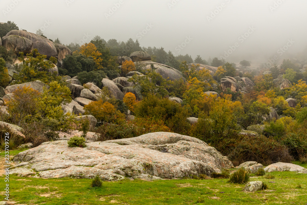 Fototapeta premium Autumn colors in the leaves of the trees in La Pedriza, in the Regional Park of the Manzanares of Madrid