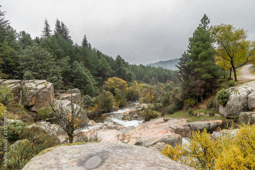 Autumn colors in the leaves of the trees in La Pedriza, in the Regional Park of the Manzanares of Madrid