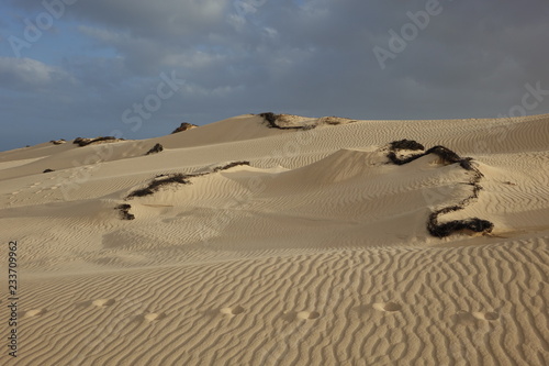 Low sun late afternoon  in the natural park Corralejo Fuerteventura Canary Islands Spain.